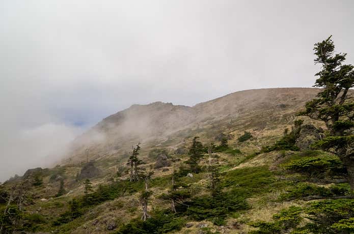 山頂からの景色
