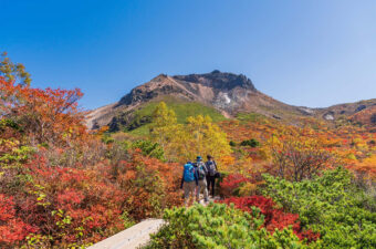 茶臼岳「姥ヶ平（うばがだいら）」の絶景