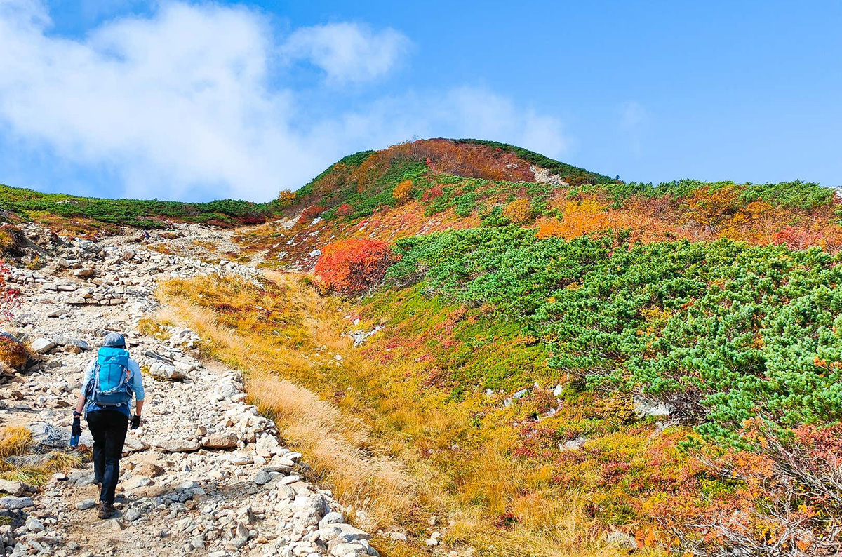 Amazon「プライム感謝祭」が10/7からスタート！ザ・ノース・フェイスも対象に