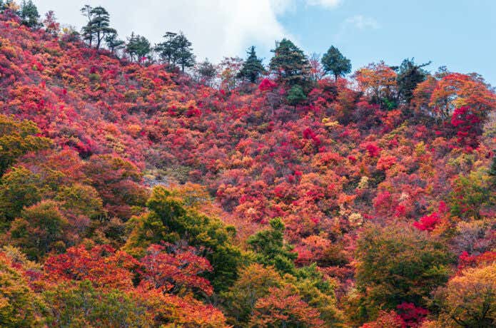 秋の谷川岳