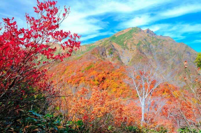 紅葉の稜線から見る谷川岳