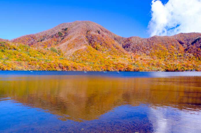 大沼に映る紅葉の赤城山