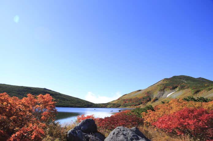 紅葉の白馬大池