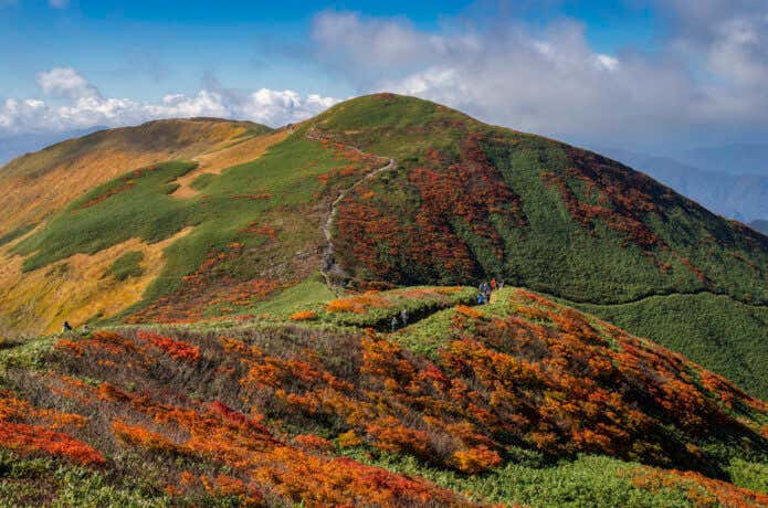 紅葉真っ盛りの月山稜線