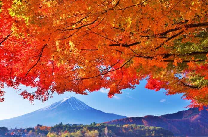 紅葉と富士山が映える日本ならではの秋の景色