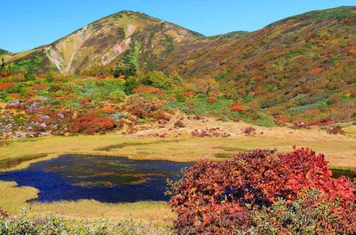紅葉の火打山と高谷池