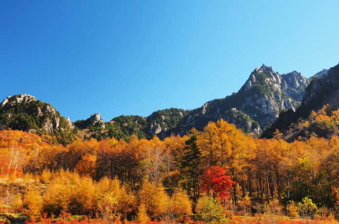 白い花崗岩と紅葉のコントラスト