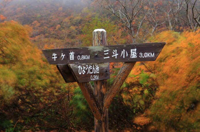 ひょうたん池の分岐の目印