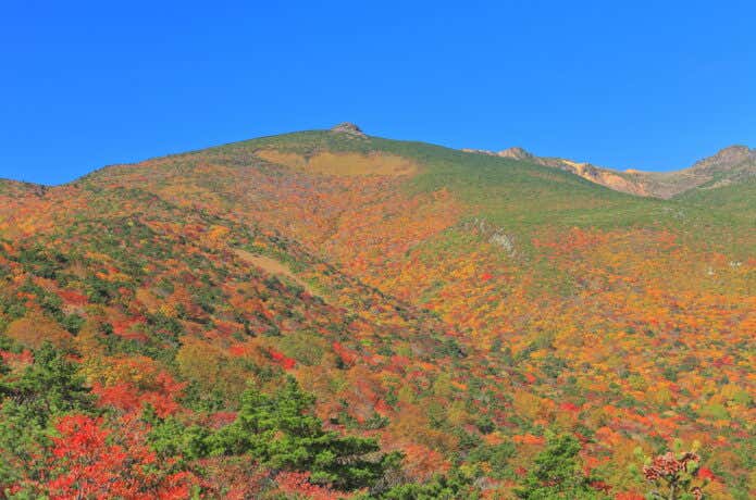 錦秋の安達太良連峰