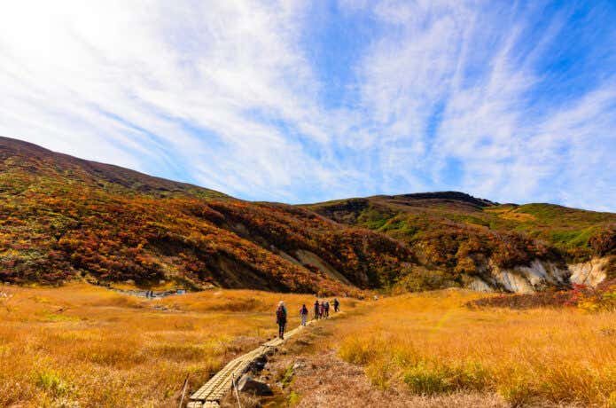 紅葉登山