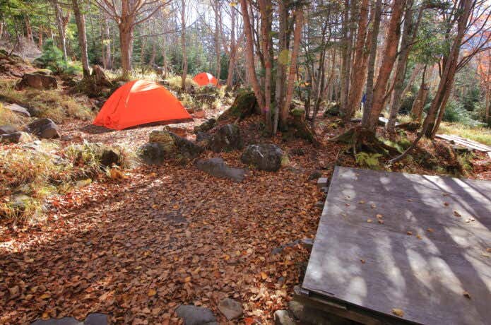 青苔荘のテント場