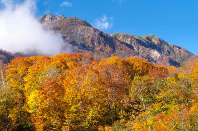 紅葉に染まる雨飾山