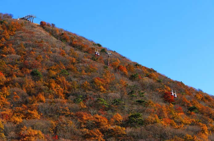 紅葉に染まる斜面を登る榛名ロープウェイ