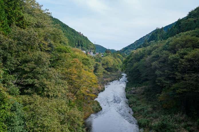 寸庭橋から眺める奥多摩の渓谷美