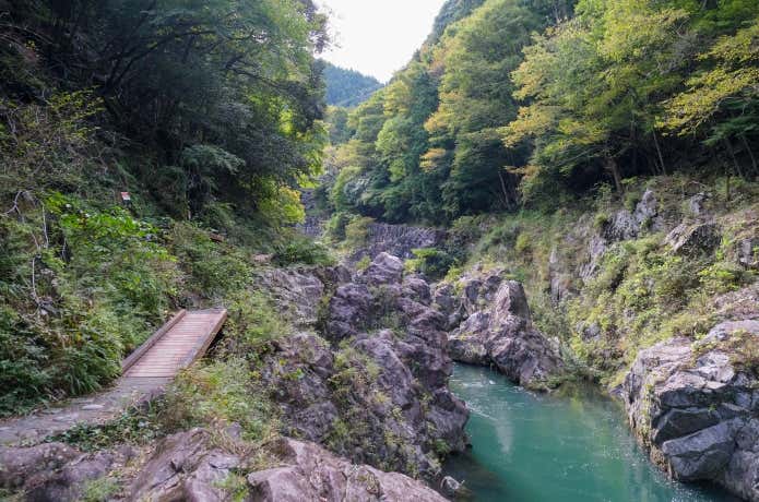 よく整備されている大多摩ウォークトレイル
