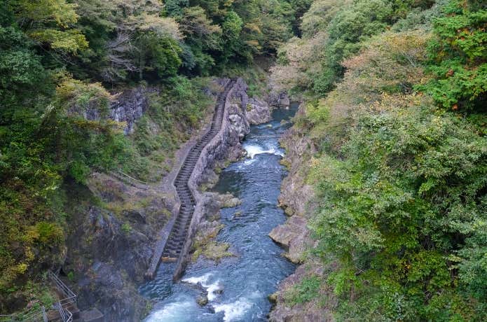 珍しい魚道が見れる白丸ダム