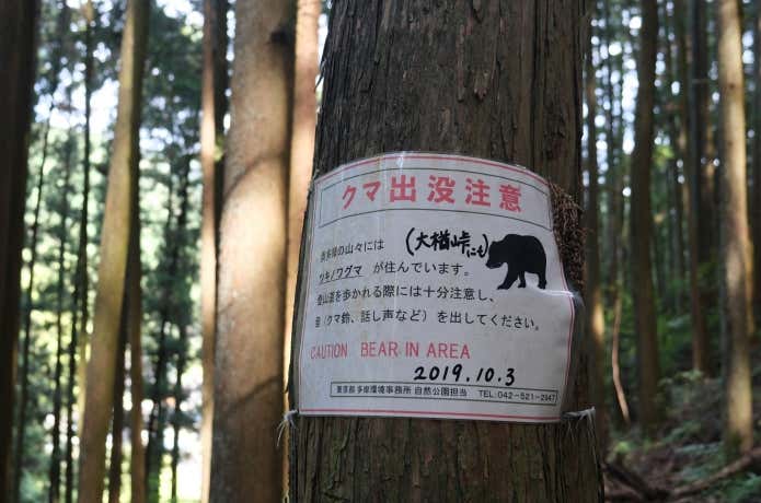 奥多摩 ツキノワグマ注意