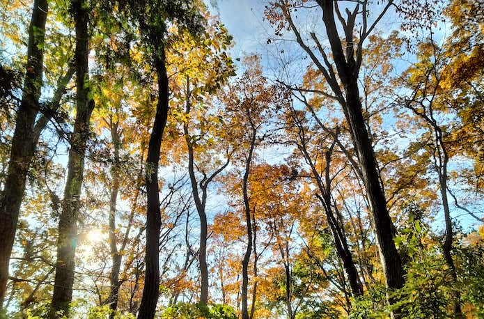 草戸山から続く尾根歩き