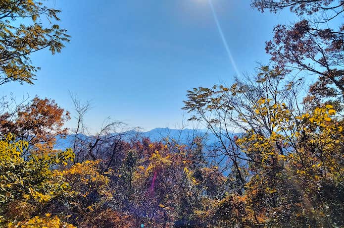 入沢山山頂付近から眺める山並み