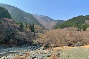 塔ノ岳・政次郎尾根コース