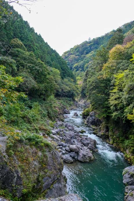ダイナミックな自然の造形美