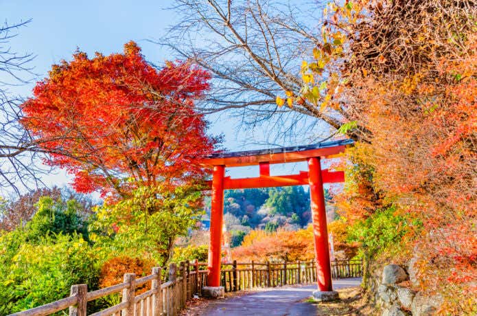 御嶽神社へ続く表参道