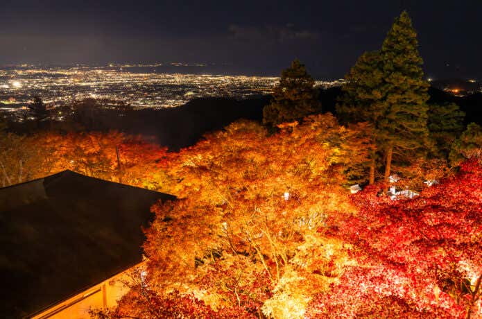 ライトアップされた阿夫利神社と伊勢原市内の夜景
