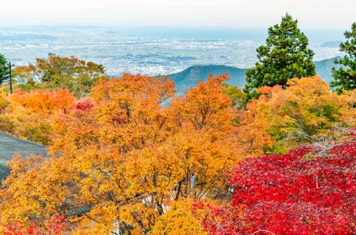 紅葉の大山阿夫利神社からみる伊勢原市街