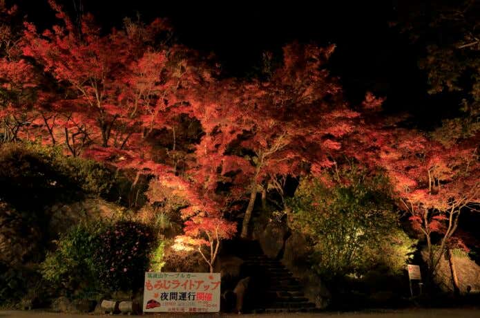 ライトアップされた筑波山山麓のモミジ