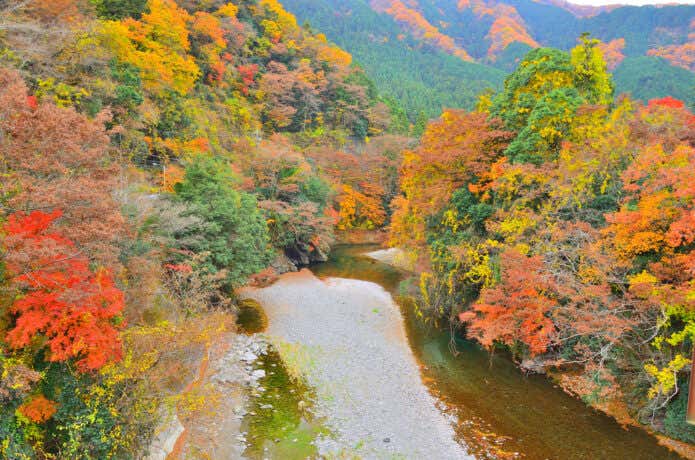 秋川渓谷の紅葉
