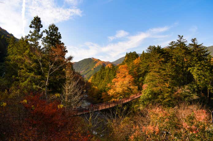 秋川渓谷にかかる石舟橋