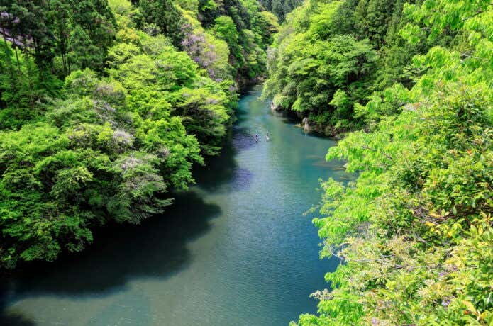 新緑の鳩ノ巣渓谷