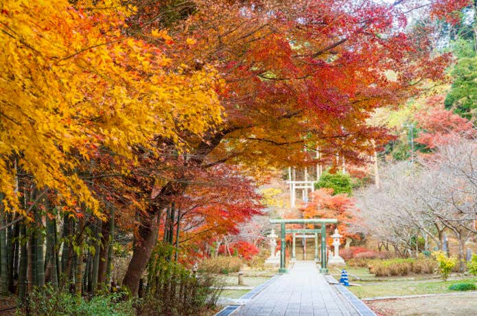 鎌倉ハイキングコースのメインスポット建長寺