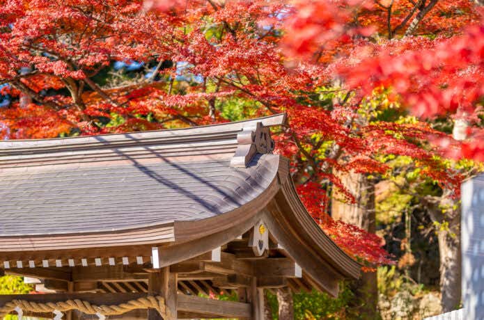 筑波山神社と周辺のモミジ