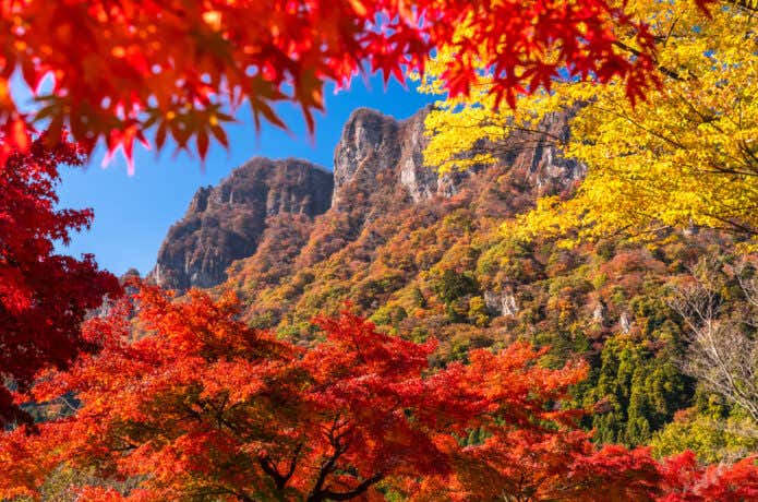 紅葉まっさかりの妙義山
