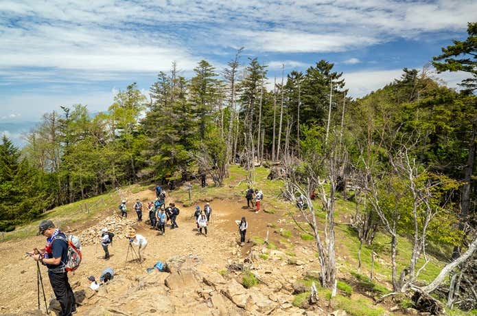 大菩薩嶺登山者