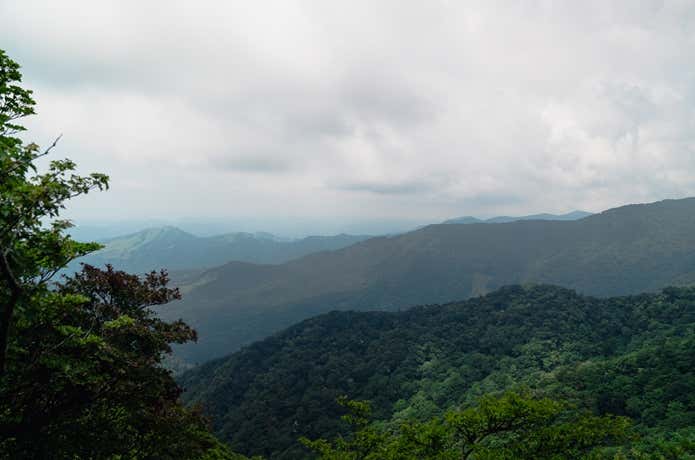 天城山からの眺め