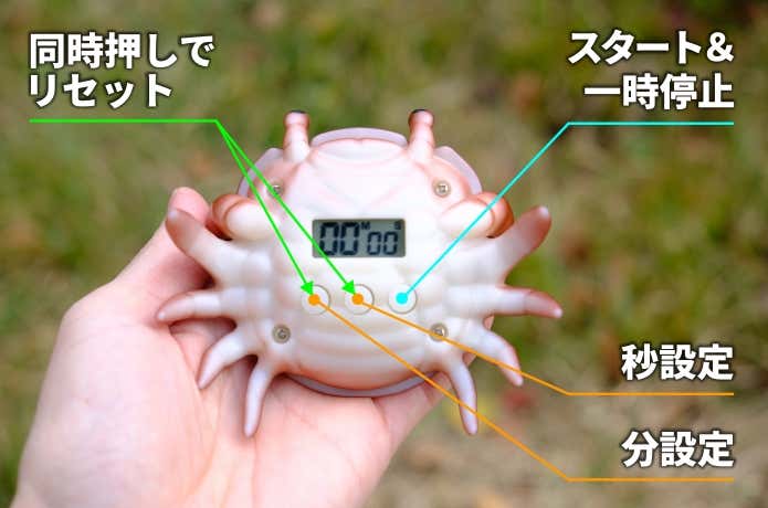 タイマー設定ボタン