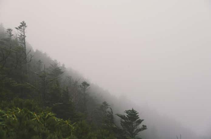 ガスに包まれる八ヶ岳