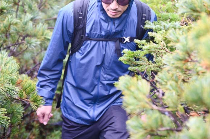 ミューラップフーディを着てハイマツ帯を歩く