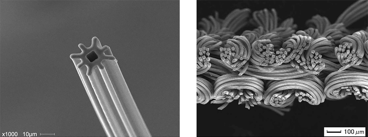 Octaイメージ画像