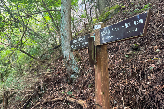 急登後に現れる道標