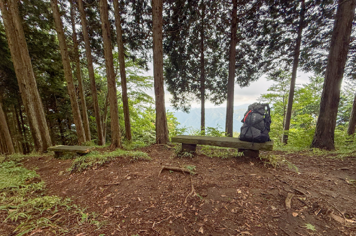 大岳山までの尾根道にあるベンチ