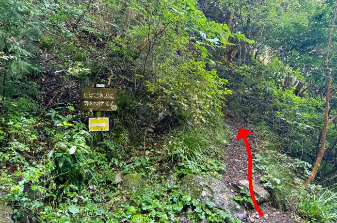 天狗滝から先の登山道へ向かう分岐
