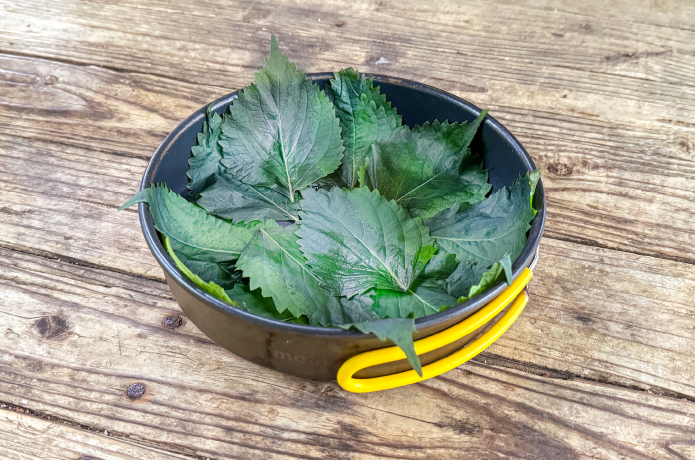 器に大葉を敷き詰める