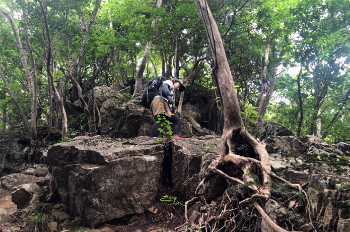 綾滝からは尾根に出るまの急登
