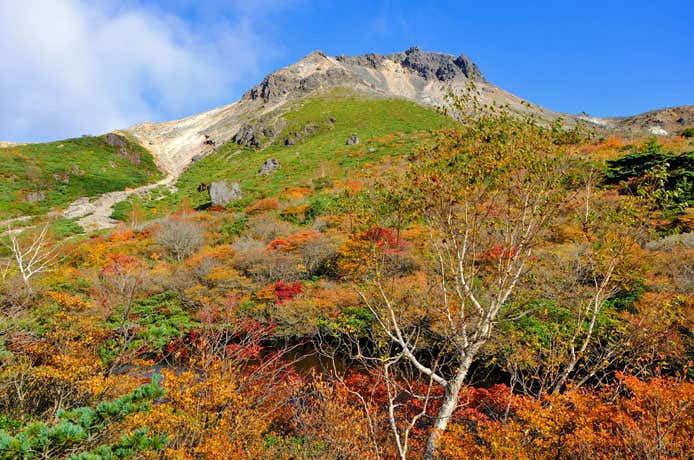 茶臼岳と紅葉