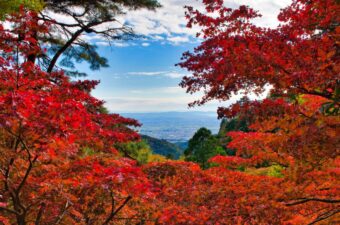 まだまだ間に合う！11月に楽しめる、関東の紅葉満喫ハイキングコース9選