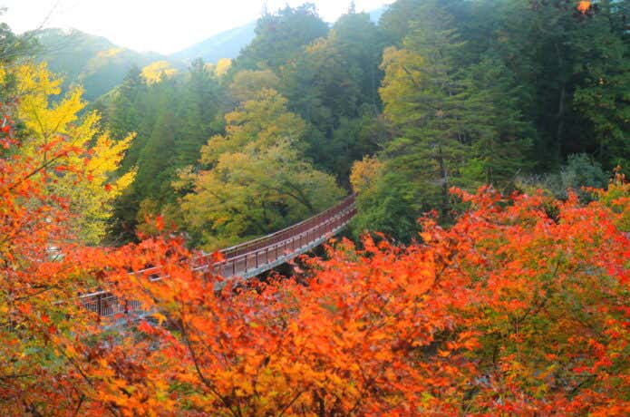 紅葉の石舟橋