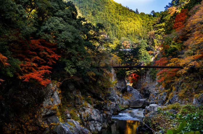 渓谷から見上げる鳩の巣小橋